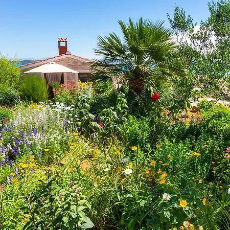 Appartement Katina Tkon