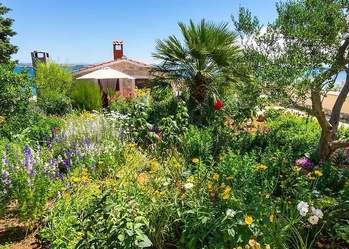 公寓 Katina 特孔